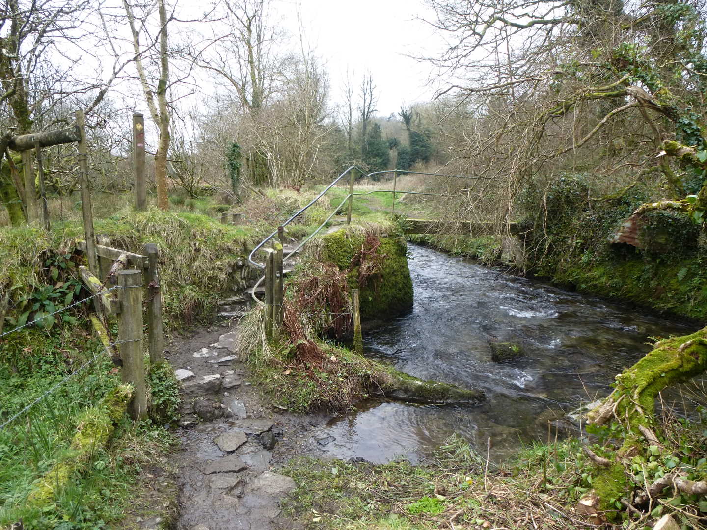 A small bridge over the river covered in moss