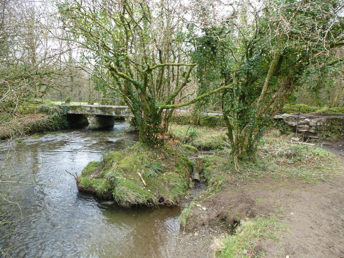 Trees in front of a small concrete bridge covered in moss