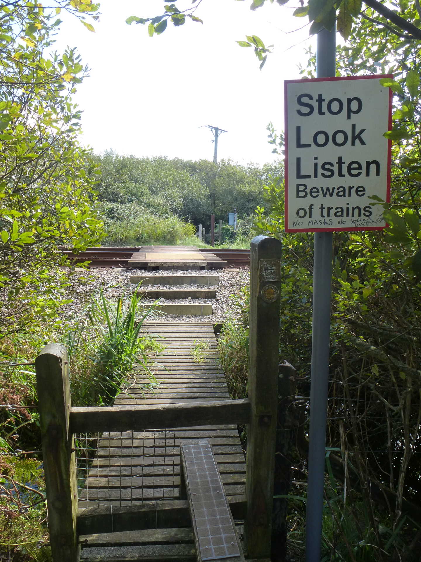 A pedestrian railway crossing emerging from the woods
