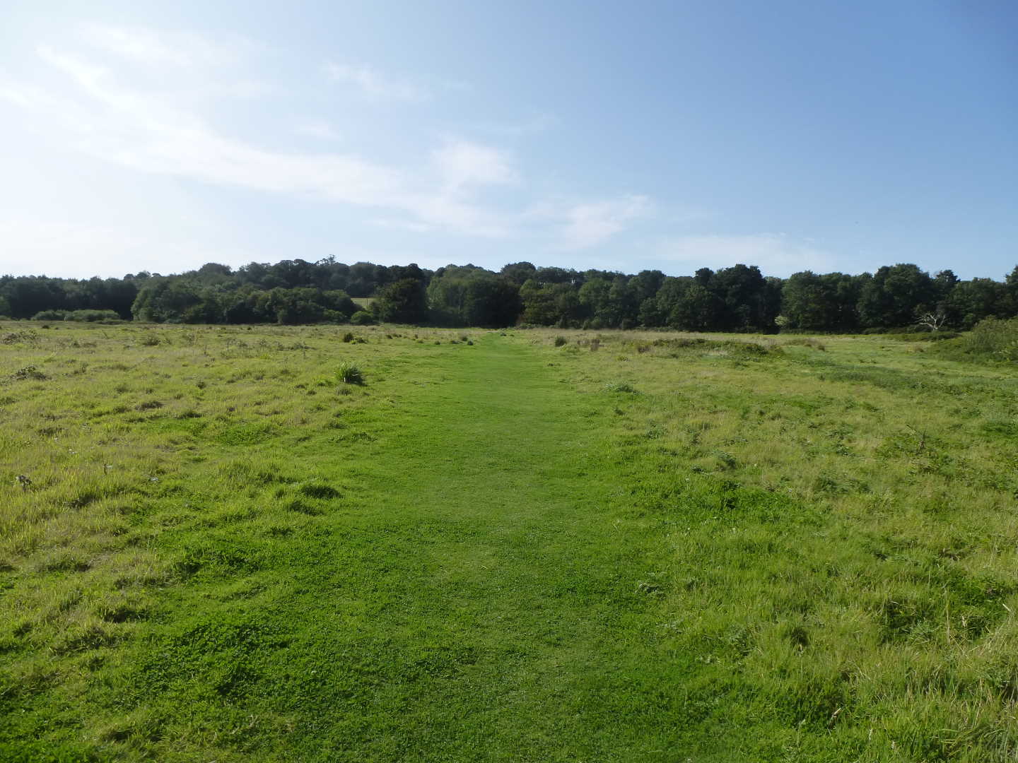 An open grassy field