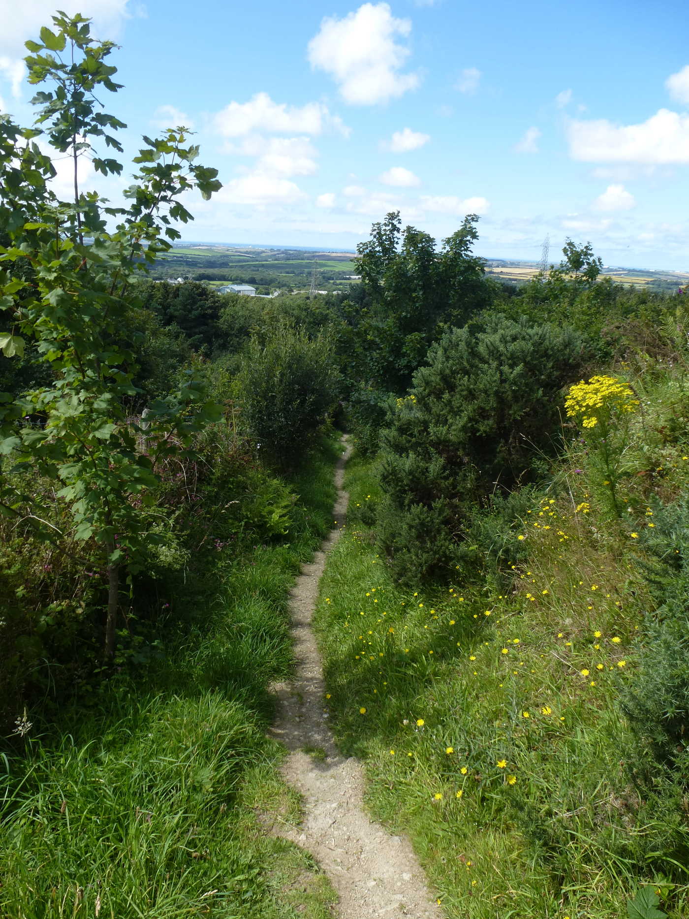 A small path heading downwards between two hedges