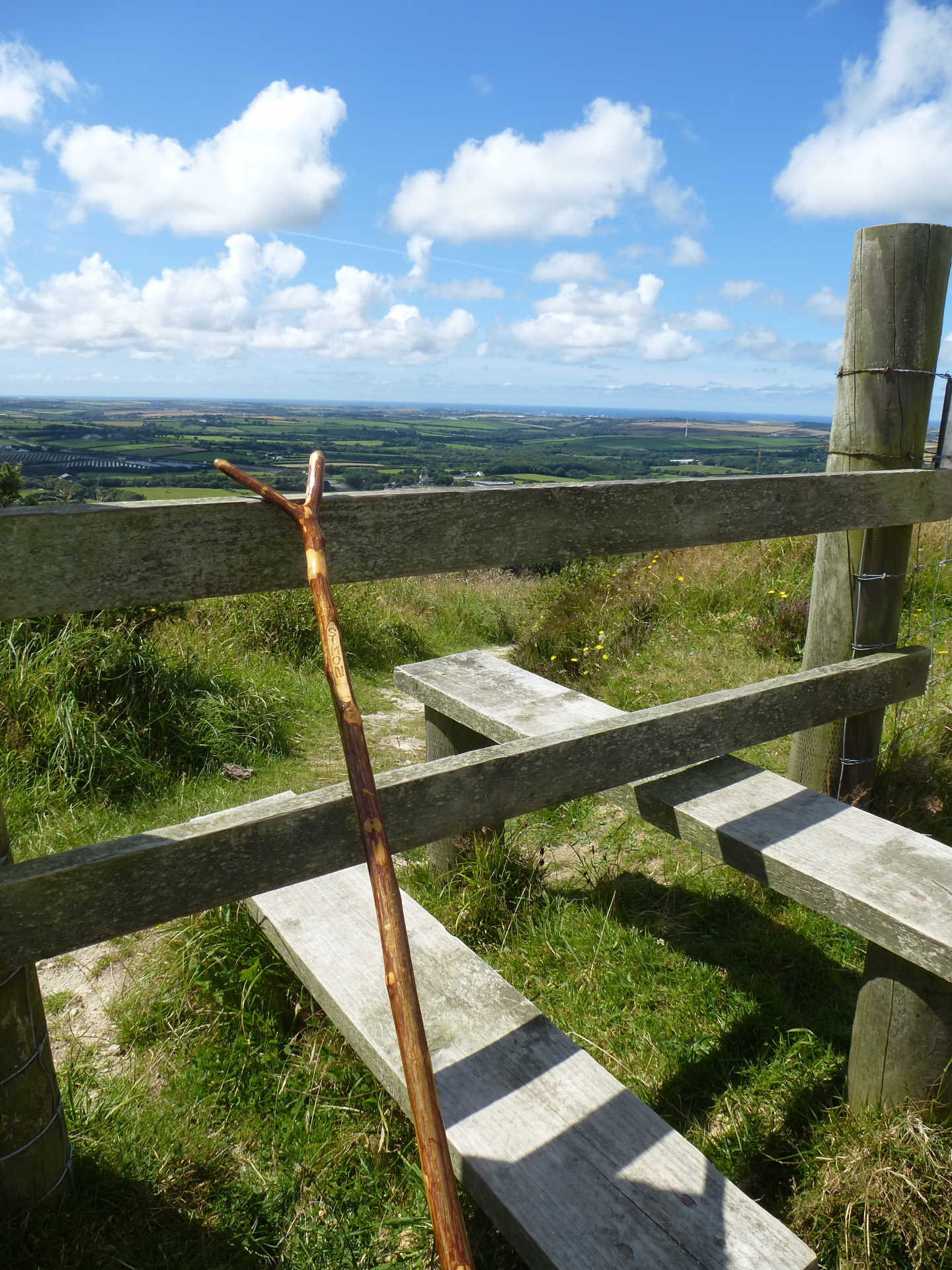 Wooden walking stick up against a stile overlooking greenery
