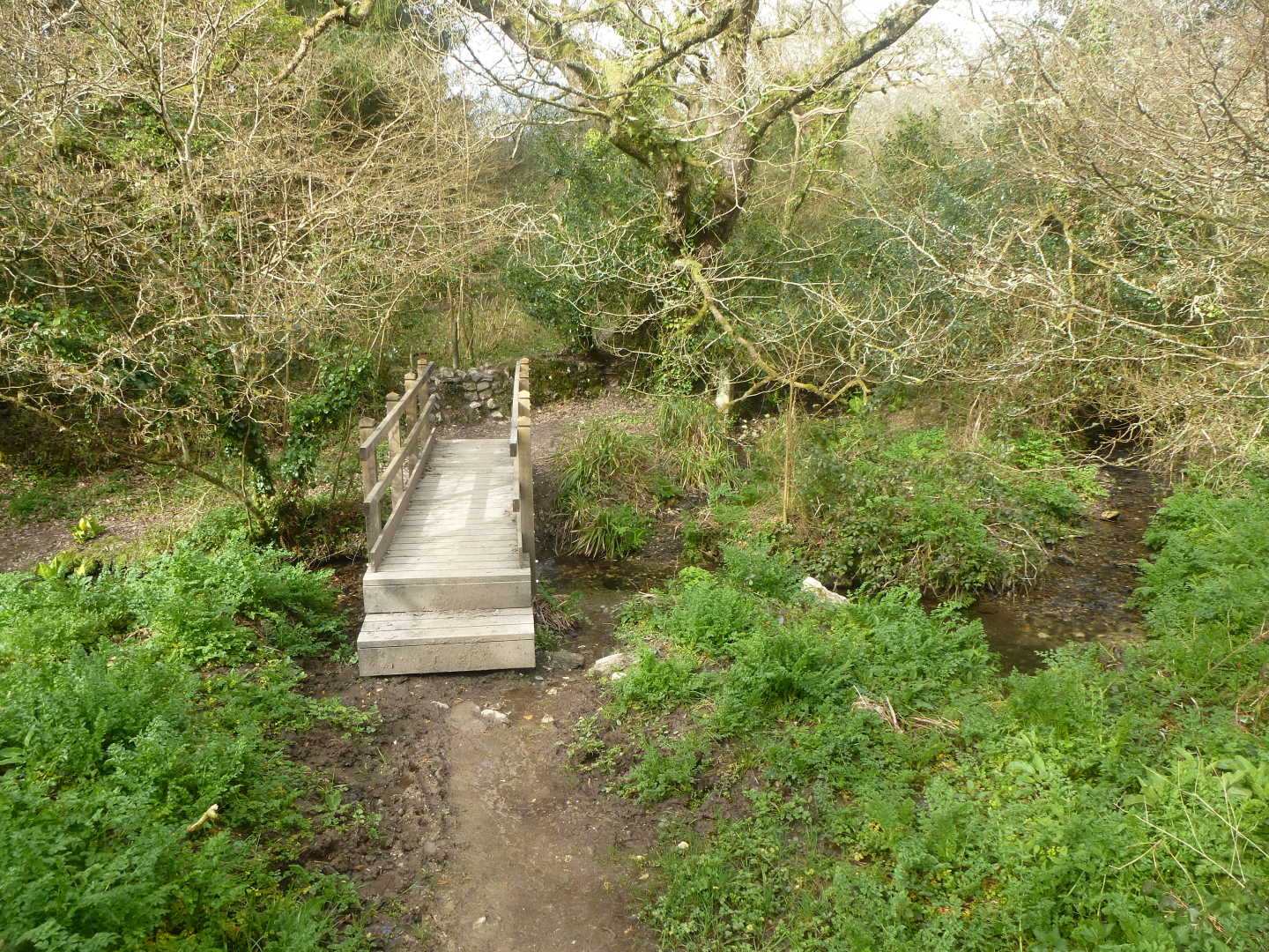 A small wooden footbrigdge over a stream