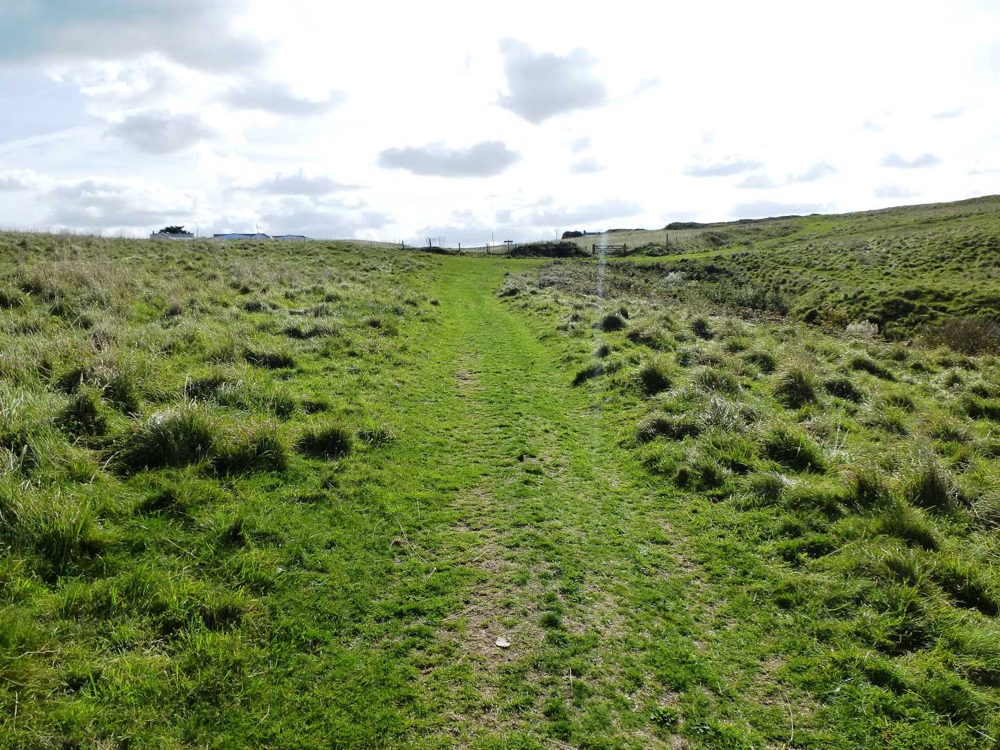 An uphill view of the grass covered dunes with a small wire fence in the distance
