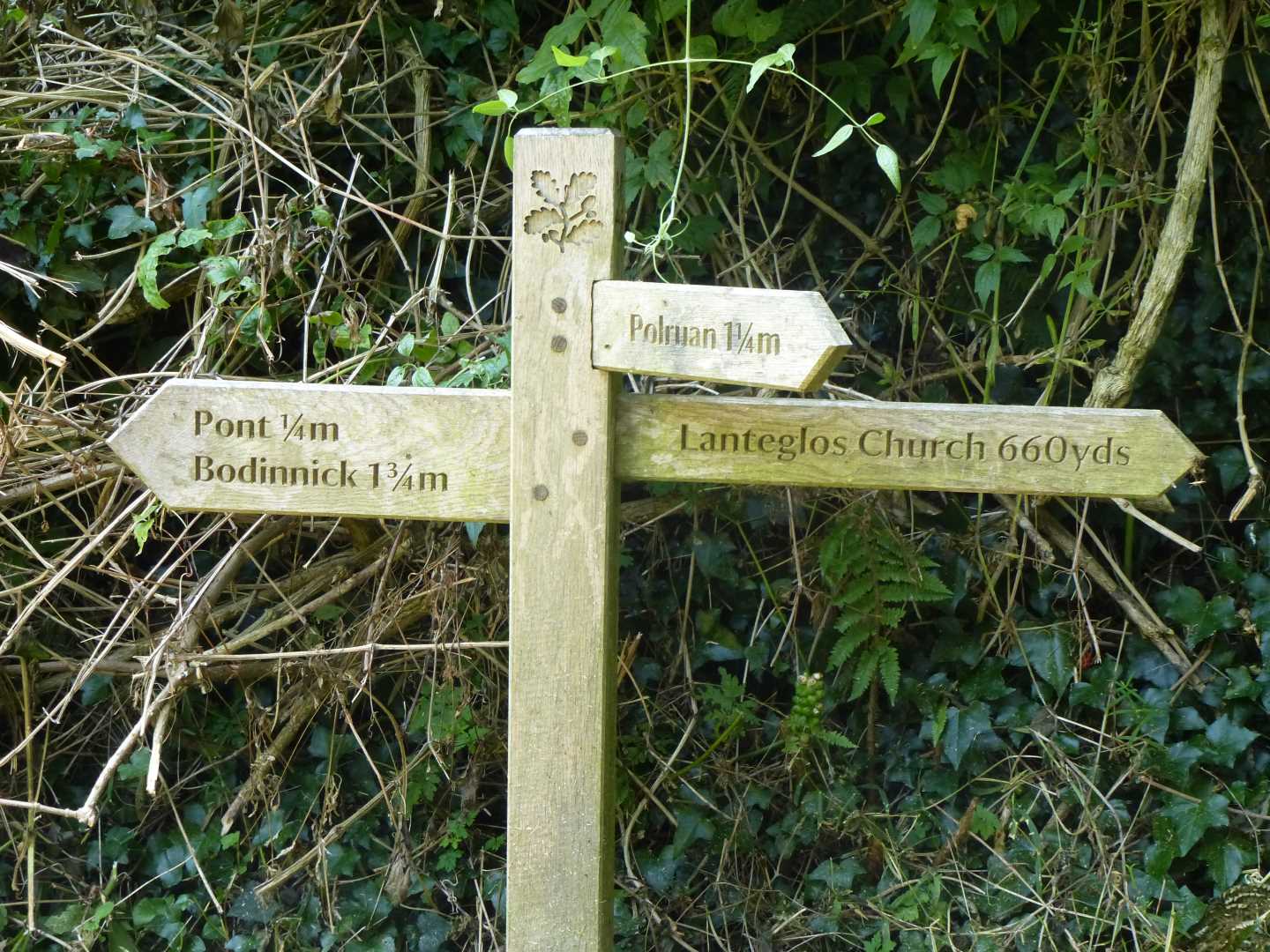 Wooden signpost on a footpath